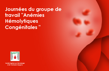 Journées du groupe de travail "Anémies Hémolytiques Congénitales "