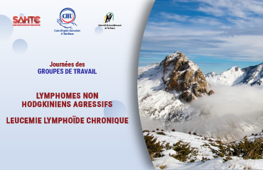 Journées des Groupes de Travail
